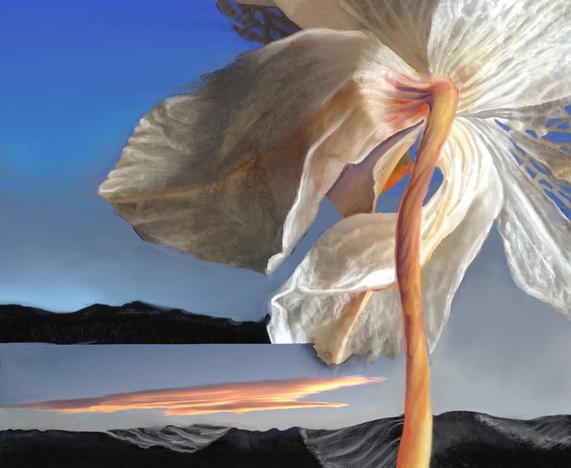 Dawning 2018 Digital Painting 50.8x45.72 - Digital Paintings