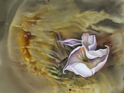Digital Paintings 