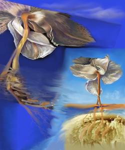 Digital Paintings 
