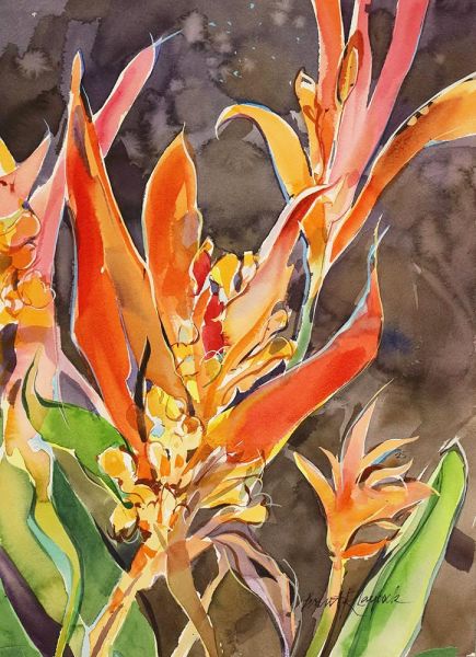 Heliconian Fire - Recent Work