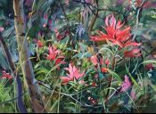 Recent Work Paintbrushes Alive