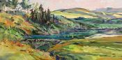 Recent Work Foothills Beaver Dam