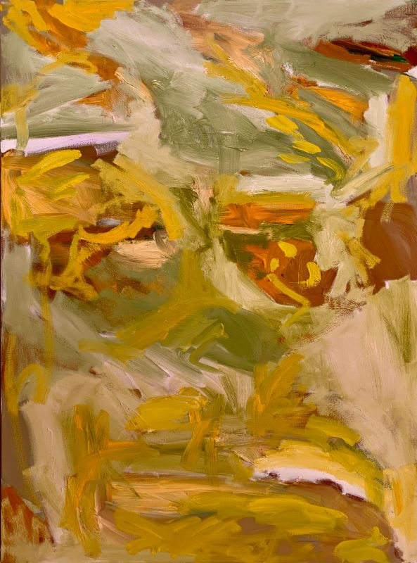 Hidden Figure - Works on Canvas