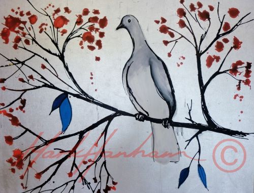 Silver Dove In Cherry Blossom - Paintings Birds