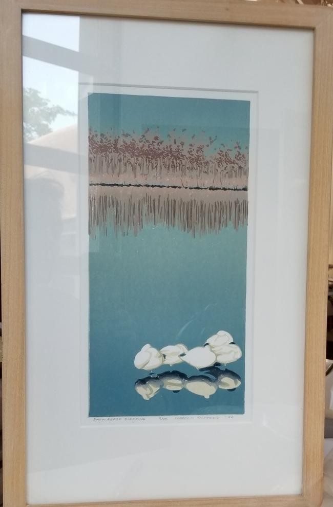 Noreen Richards - Snow Geese Sleeping 9_25 - Cacciatore Collection