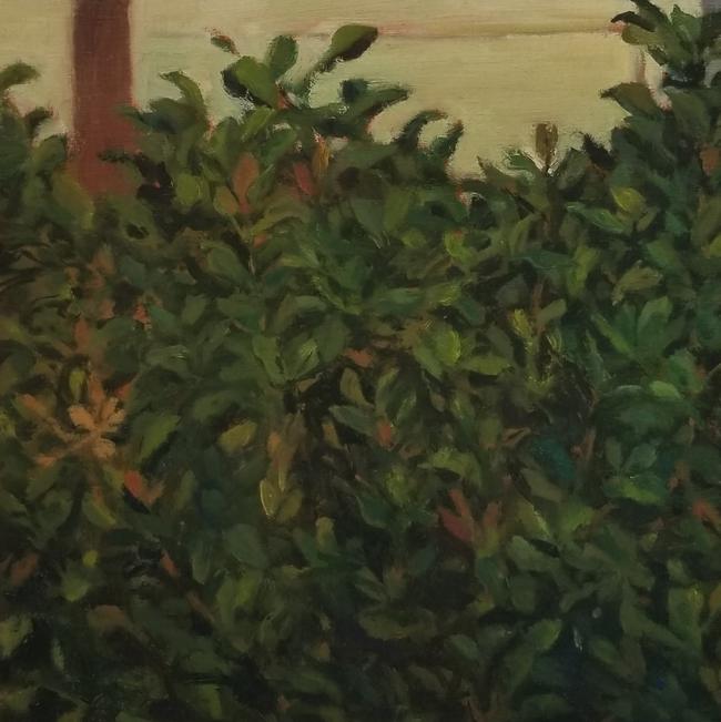 Stephanie Peek - Bush II - Cacciatore Collection