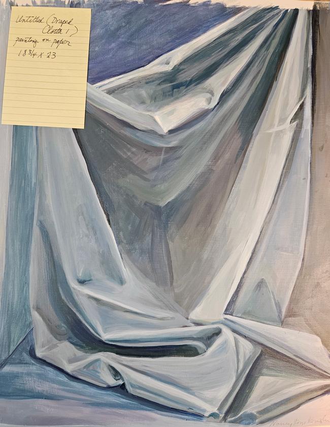 Untitled - Draped Cloth 1 - Nancy Kozikowski