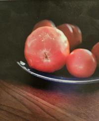 Nancy Kozikowski Collection 