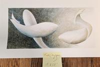 Studio Sale Fish on Paper