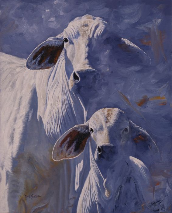 MARK COOMBE - Brahman Shadows