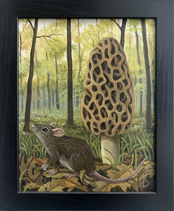 Morel - Laine Bachman