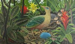 Laine Bachman Ground Cuckoo