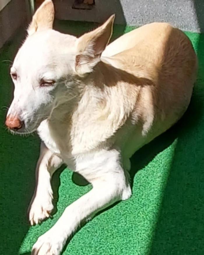  - New Consignor Test