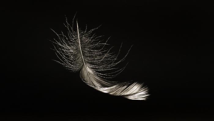 MITCHELL LONAS Alight_ Early Fall