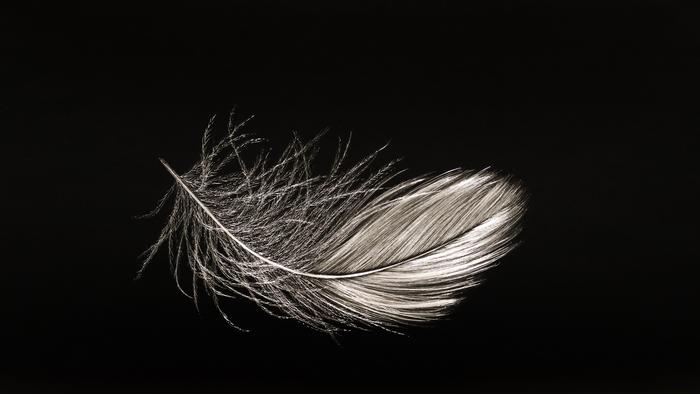 MITCHELL LONAS Alight_ Fall