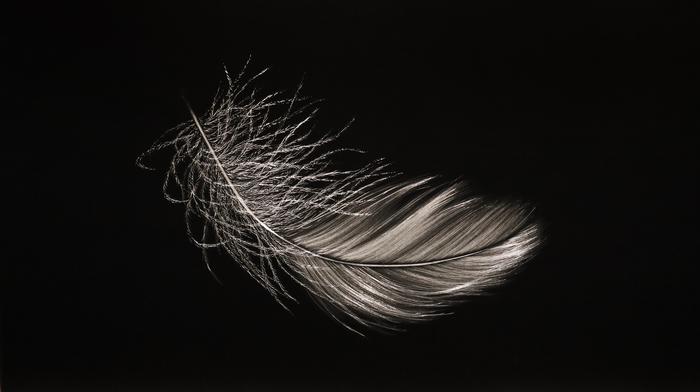 MITCHELL LONAS Alight_ Fall Afternoon 2025