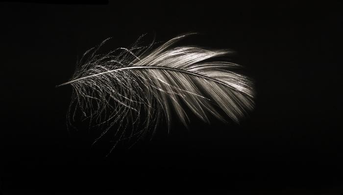 MITCHELL LONAS Alight_ Late Autumn 2025