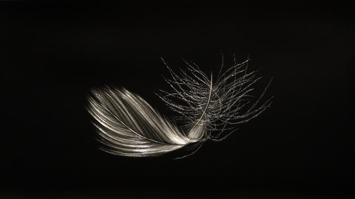 MITCHELL LONAS Alight_ Late Evening 2025