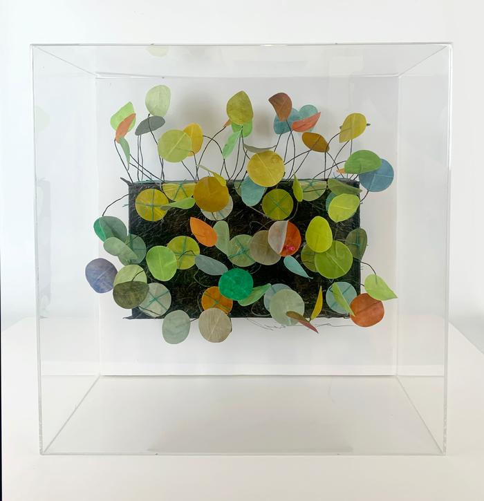 AKIKO SUGIYAMA Dancing Circles