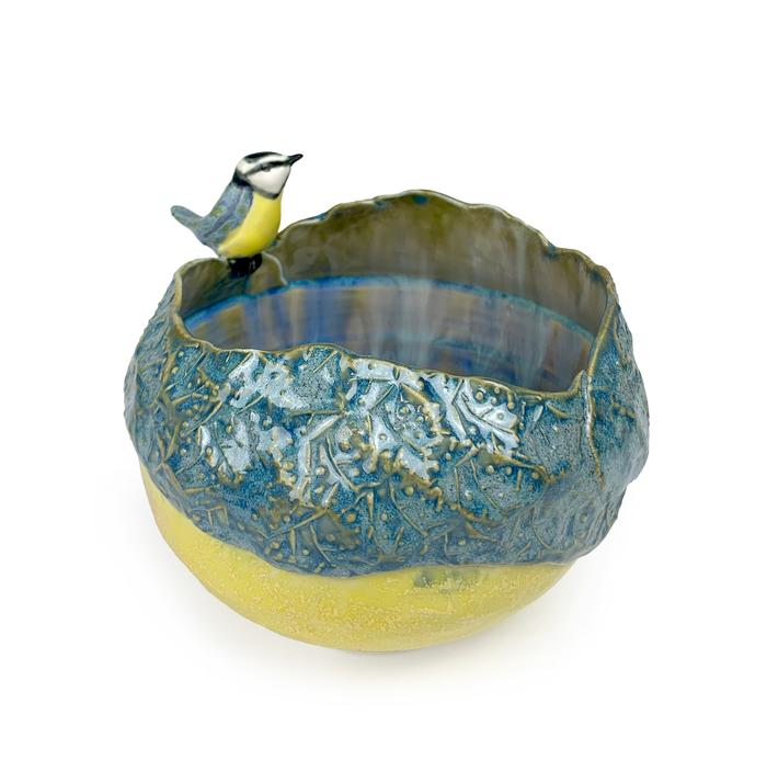 LUCY V. DIERKS - Vernal Pool with Blue Tit