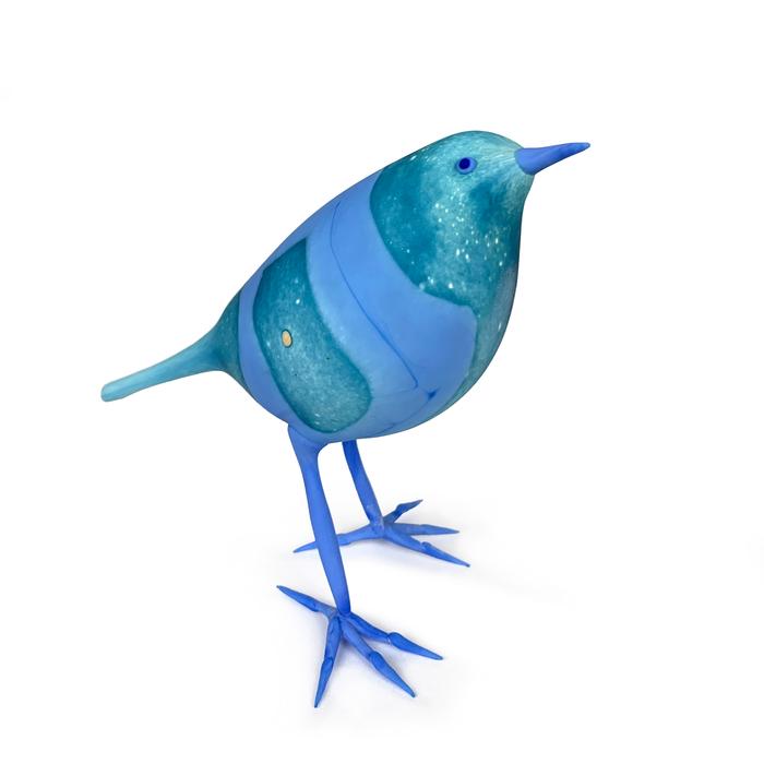 SHANE FERO Banded_ Bluebird