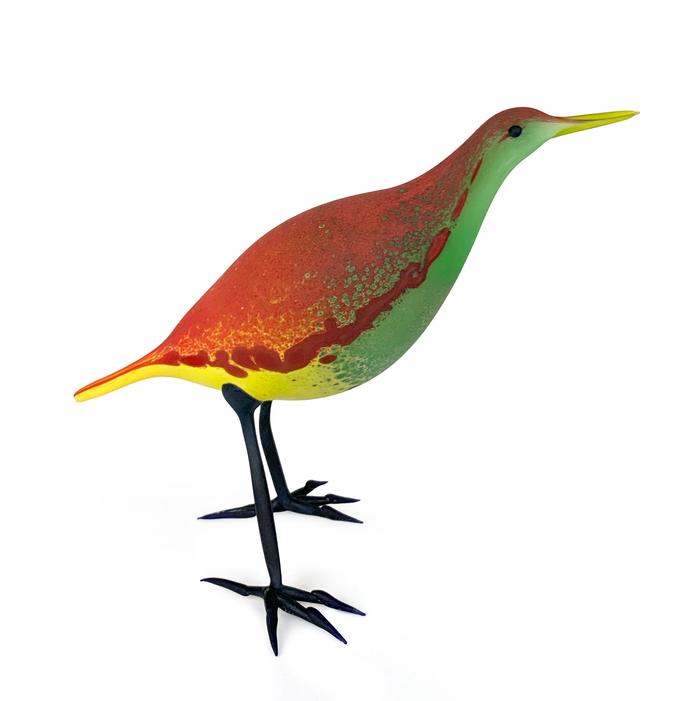 SHANE FERO Multi-colored Shorebird