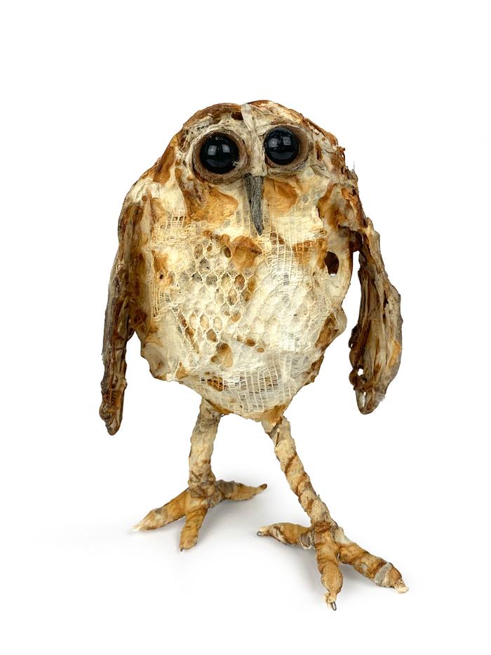 BRYANT HOLSENBECK Small Owl
