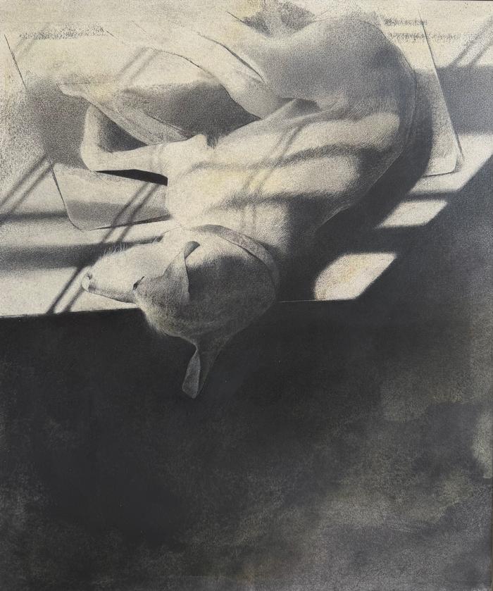 TAMIE  BELDUE Let Sleeping Dogs Lie