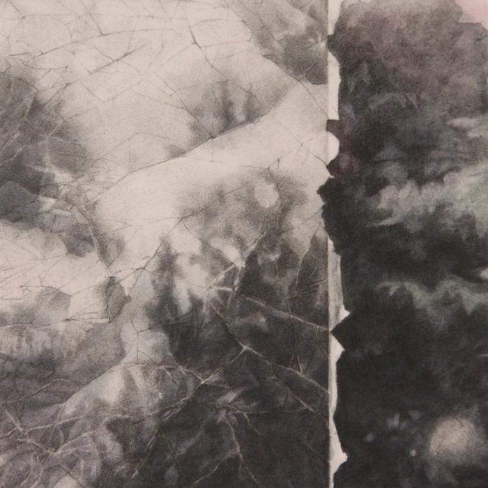 TAMIE  BELDUE Light Shadows no. 19