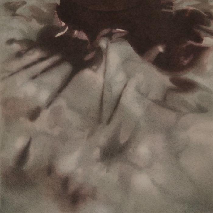TAMIE  BELDUE Light Shadows no. 9