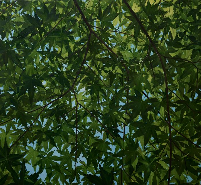 ELIZABETH  LIVINGSTON Understory