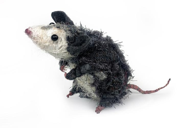 BRYANT HOLSENBECK Possum