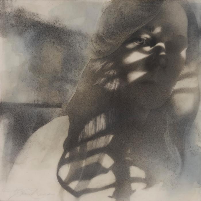 TAMIE  BELDUE Shadow of an Anatomy Lesson