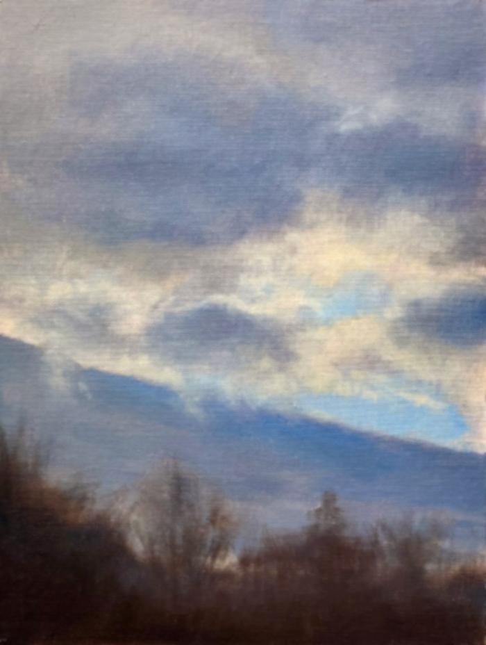 DEBORAH SQUIER Silver Linings
