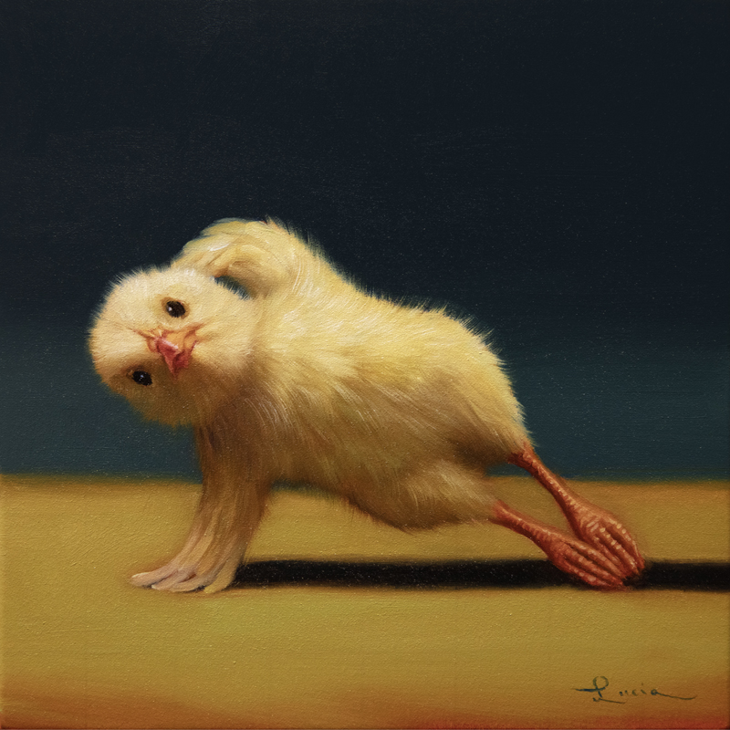 Pilates Chick - Hip Dip - Lucia Heffernan