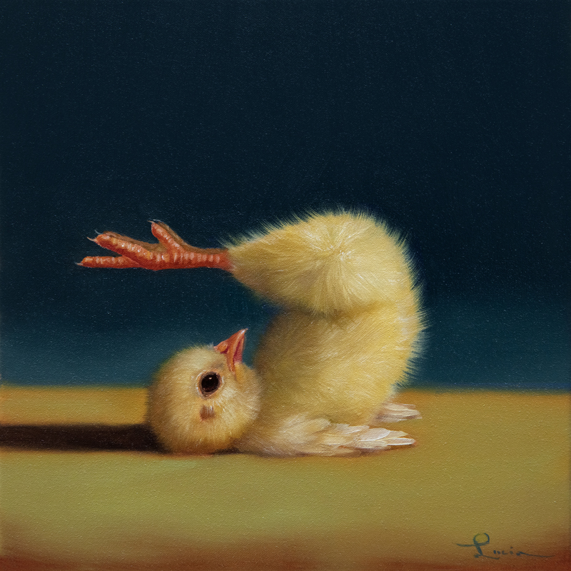 Pilates Chick - Jackknife - Lucia Heffernan