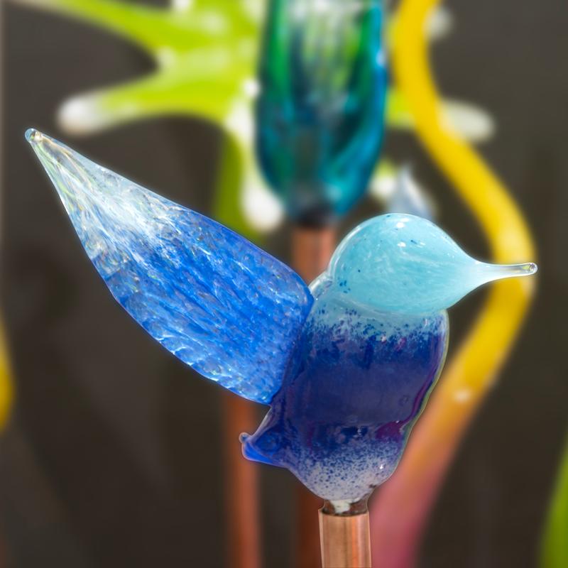 Blue Hummingbird - Jesse Kelly