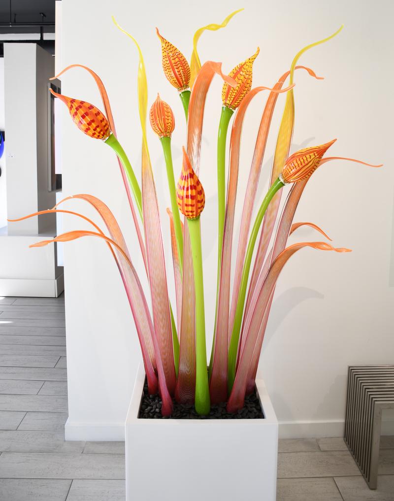 Sunset Blooms - Jesse Kelly