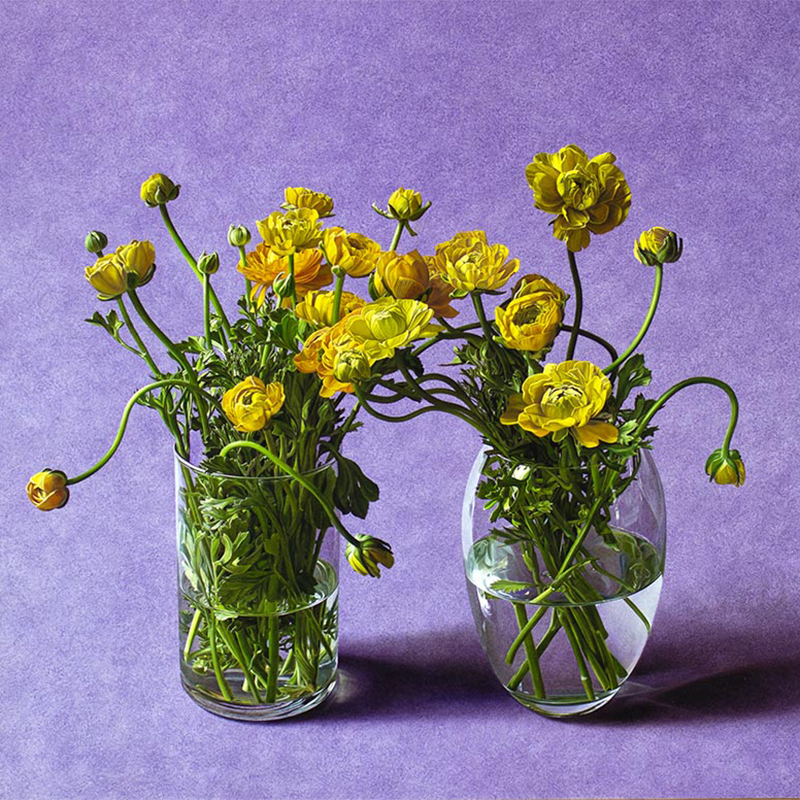 Yellow Ranunculus