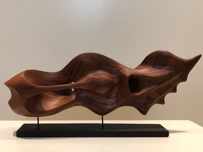 Fermin Castro - Lungfish