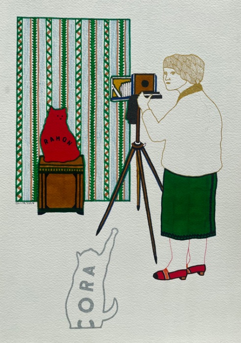 Untitled (Photographing cats)