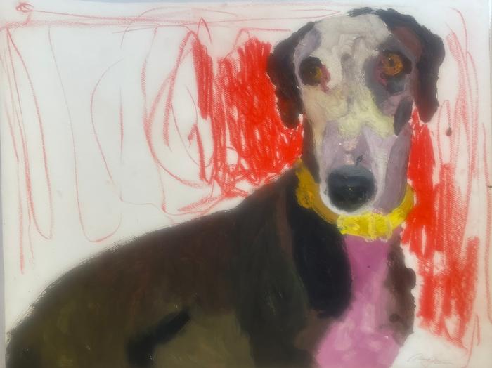 Adrian Socorro - Untitled dog