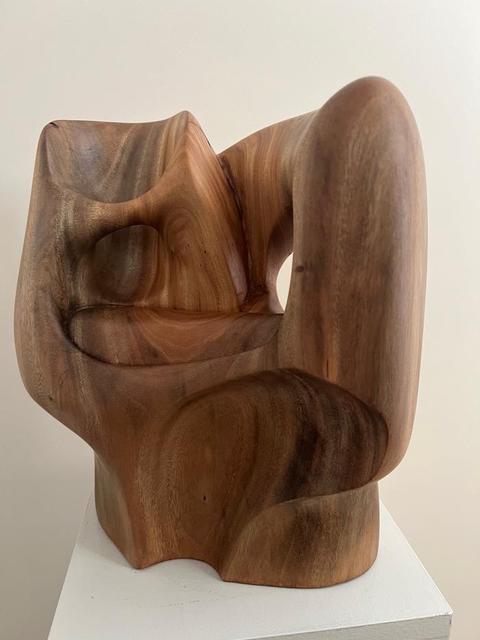 Fermin Castro - Synchronized