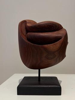 Fermin Castro Small form in evolution