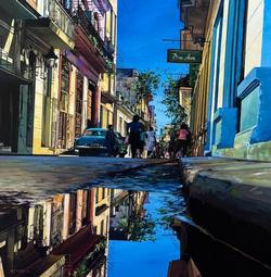 Aneet R. Fontes An eternal glimpse of her