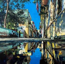Aneet R. Fontes Suspended instant