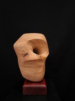 Fermin Castro Form and space
