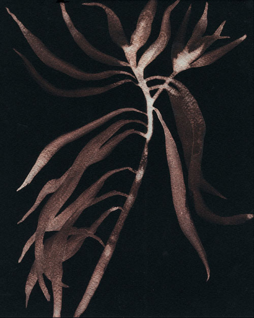 Jessica Williams Beloved an iridescent watercolor at Seager Gray Gallery in Mill Valley CA in the San Francisco Bay Area