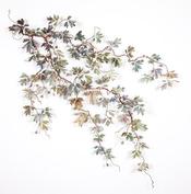 Lisa  Kokin Lisa Kokin Ternifolia a thread and altered book leaf work at Seager Gray Gallery.