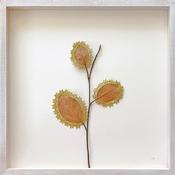 Susanna Bauer_ My Tree_leaf and thread textile art at Donna Seager Fine Arts in San Rafael in the San Francisco Bay Area